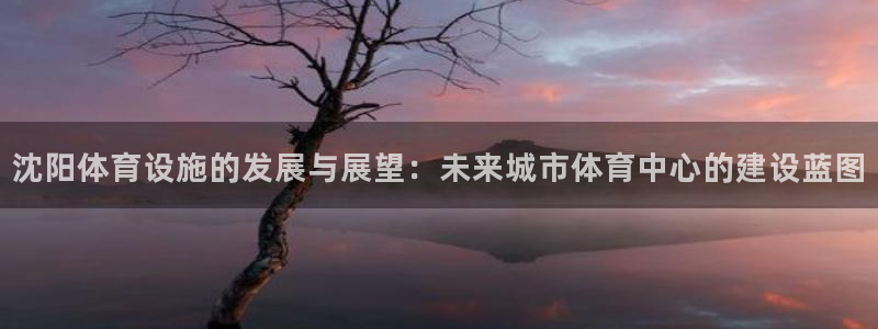 凯捷体育招商：沈阳体育设施的发展与展望：未来城市体育