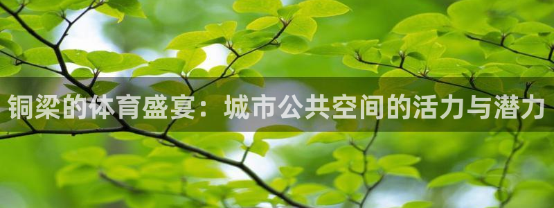 凯捷体育招商电话地址：铜梁的体育盛宴：城市公共空间的