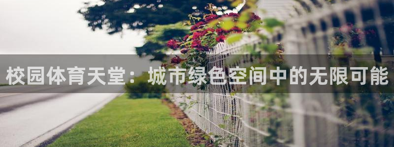 凯捷体育平台是正规平台吗安全吗：校园体育天堂：城市绿