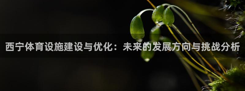 凯捷体育科技：西宁体育设施建设与优化：未来的发展方向