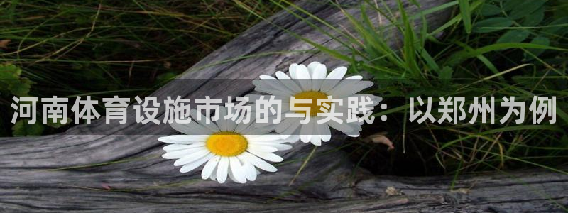 凯捷体育娱乐40996：河南体育设施市场的与实践：以