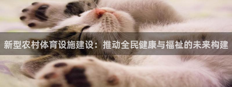 凯捷体育平台是正规平台吗安全吗：新型农村体育设施建设