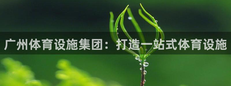 凯捷体育平台注册流程视频：广州体育设施集团：打造一站