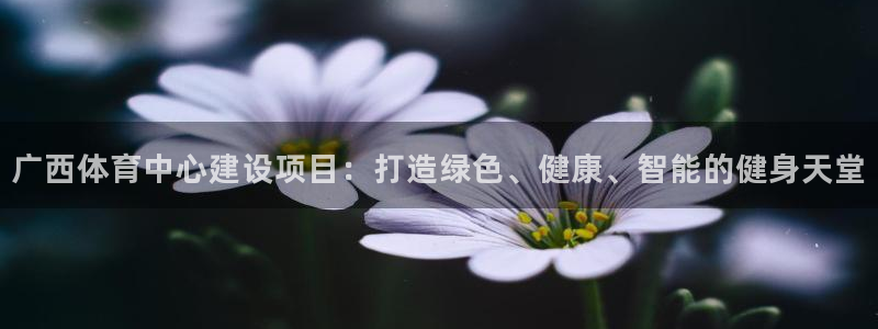 凯捷体育招商电话号码是多少号：广西体育中心建设项目：