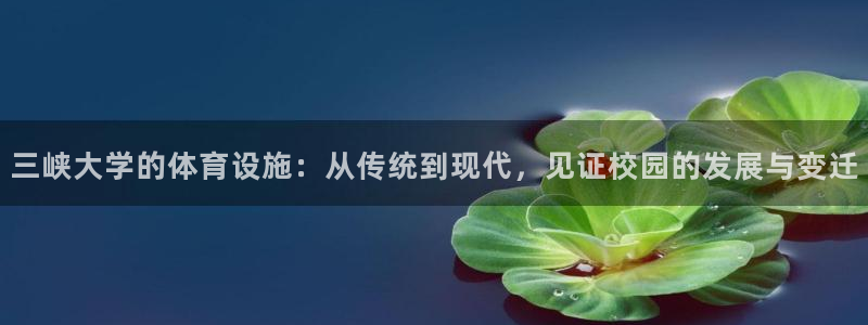 凯捷体育娱乐代理怎么样：三峡大学的体育设施：从传统到