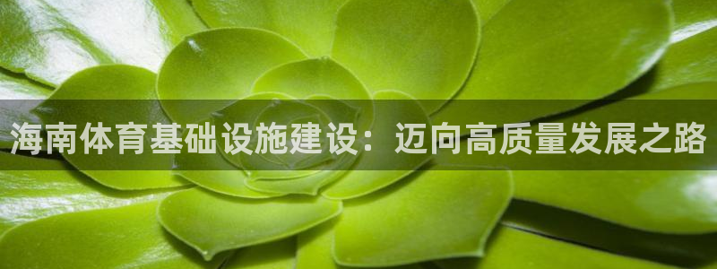 凯捷体育娱乐首页官网下载：海南体育基础设施建设：迈向