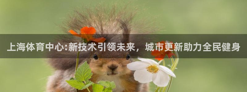 凯捷集团官网：上海体育中心:新技术引领未来，城市更新