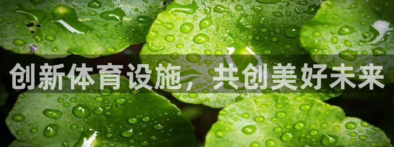 凯捷平台体育：创新体育设施，共创美好未来