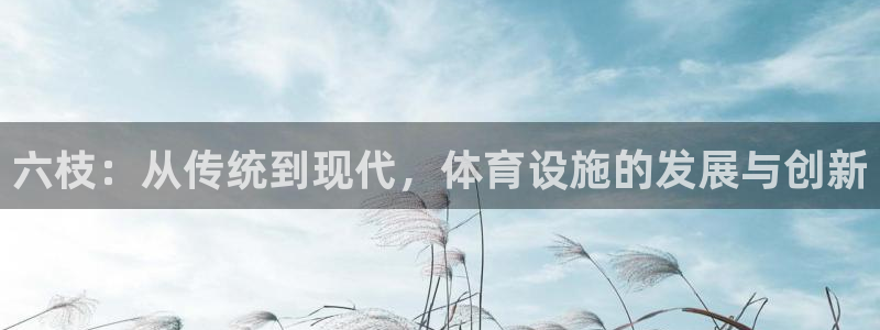 凯捷体育娱乐：六枝：从传统到现代，体育设施的发展与创