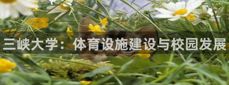 凯捷体育平台