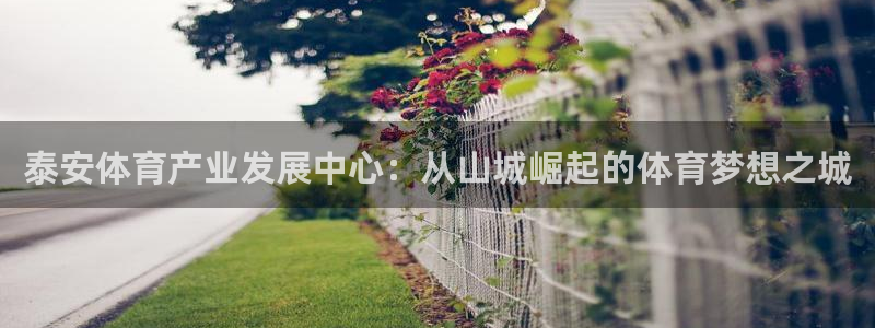 凯捷体育平台注册流程视频：泰安体育产业发展中心：从山