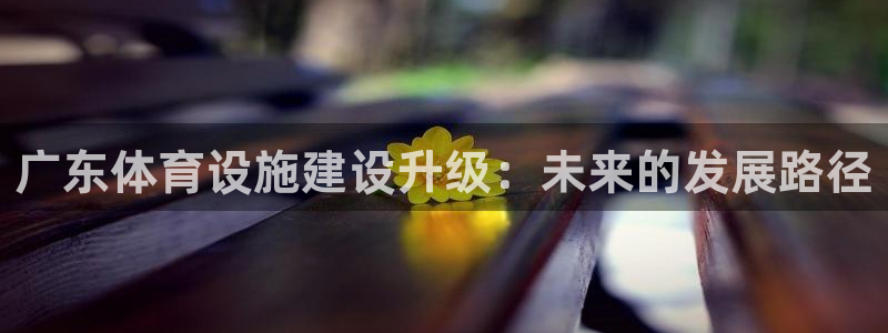 凯捷体育娱乐平台：广东体育设施建设升级：未来的发展路