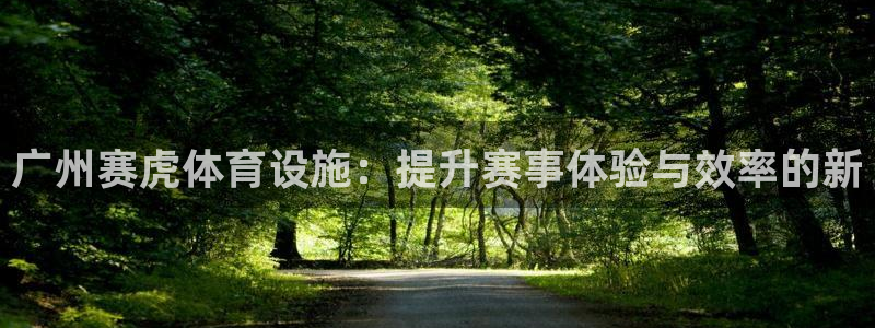凯捷体育平台APP：广州赛虎体育设施：提升赛事体验与