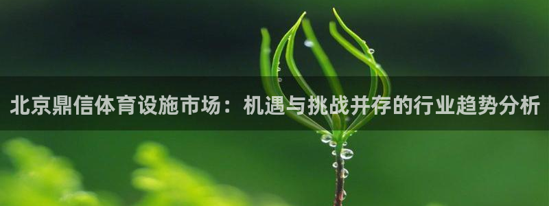 凯捷体育集团官网首页网址：北京鼎信体育设施市场：机遇