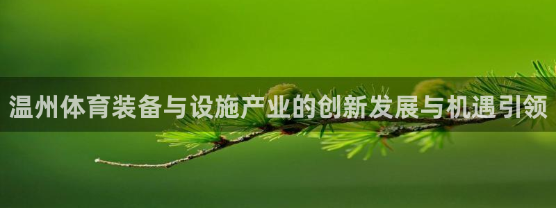 凯捷体育集团官网网址：温州体育装备与设施产业的创新发