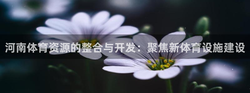 凯捷体育平台注册流程视频：河南体育资源的整合与开发：聚焦新体
