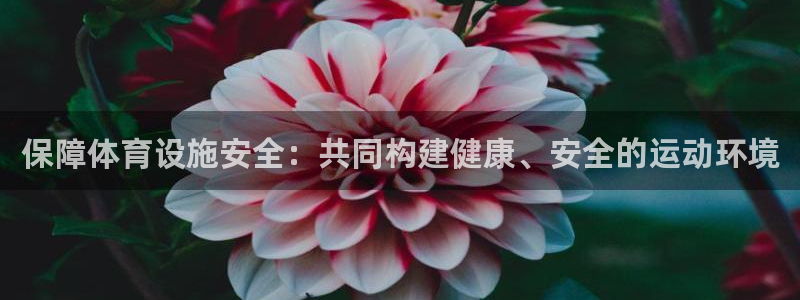 凯捷体育平台注册流程图：保障体育设施安全：共同构建健