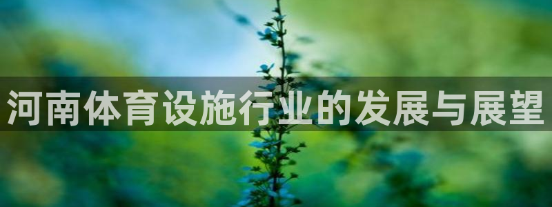 凯捷体育神州