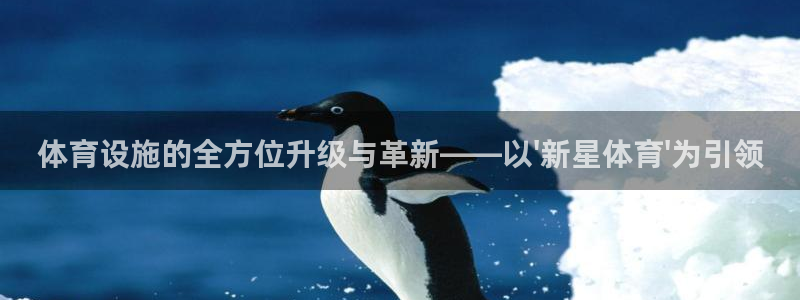 凯捷体育平台假的吗是真的吗吗：体育设施的全方位升级与
