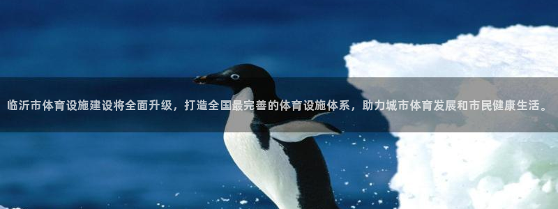 凯捷体育平台假的吗是真的吗：临沂市体育设施建设将全面升级，打
