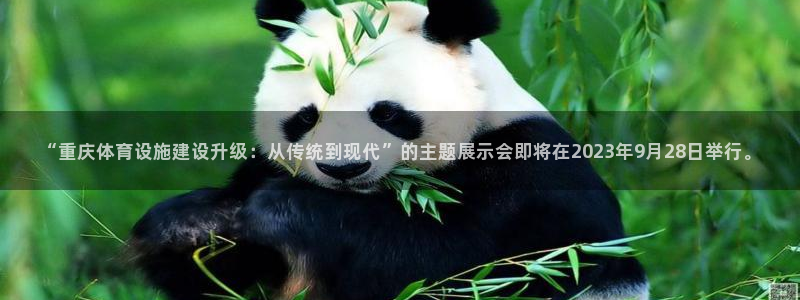 凯捷体育集团