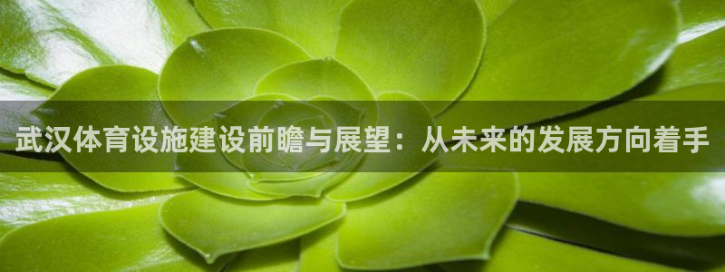 凯捷体育集团