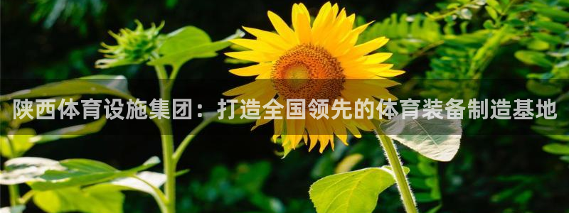 凯捷体育开户：陕西体育设施集团：打造全国领先的体育装