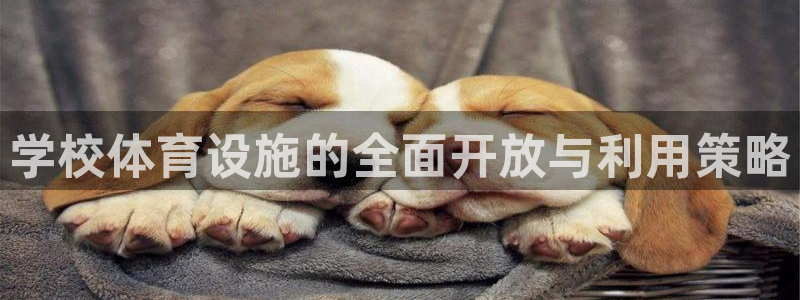 凯捷体育招商电话地址：学校体育设施的全面开放与利用策