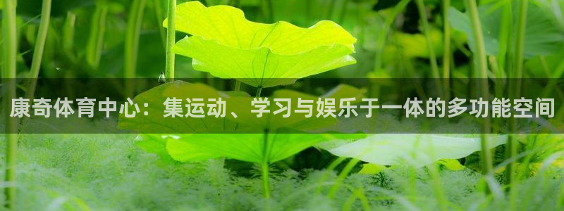 凯捷体育集团