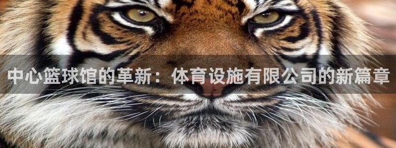 凯捷体育娱乐下载：中心篮球馆的革新：体育设施有限公司的新篇章