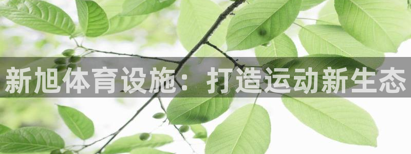 凯捷体育招商电话号码查询：新旭体育设施：打造运动新生态 
