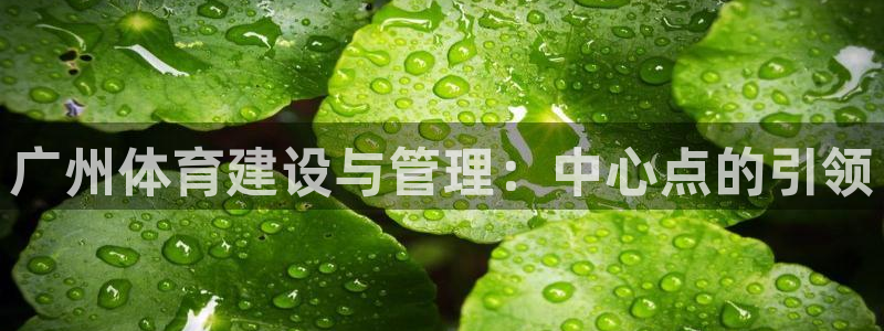 凯捷体育集团logo：广州体育建设与管理：中心点的引
