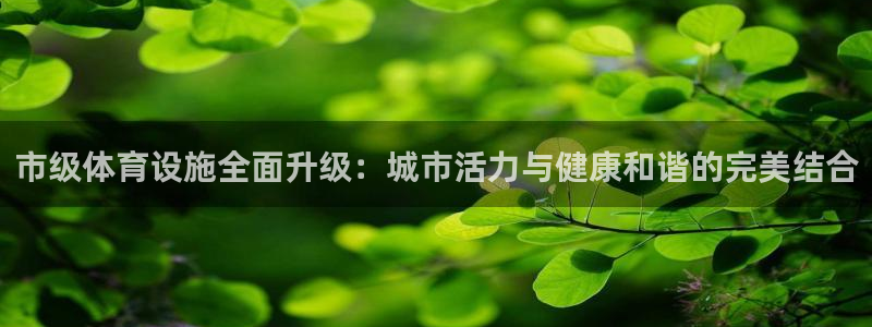 凯捷体育娱乐：市级体育设施全面升级：城市活力与健康和