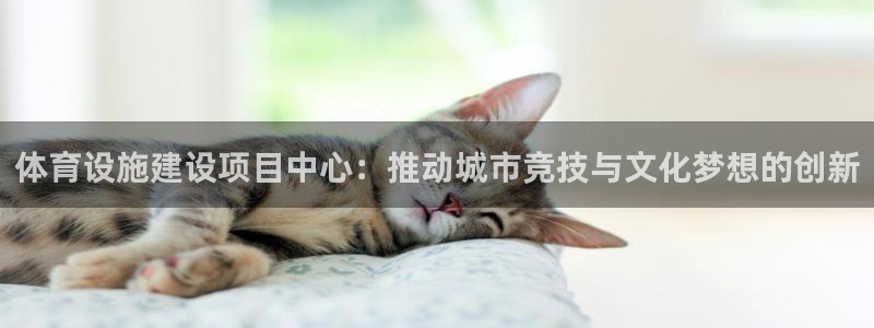 凯捷体育平台假的吗是真的吗吗：体育设施建设项目中心：