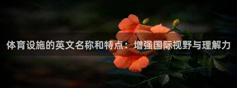 凯捷体育娱乐：体育设施的英文名称和特点：增强国际视野