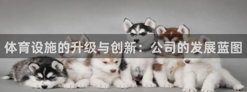 凯捷体育官方：体育设施的升级与创新：公司的发展蓝图
