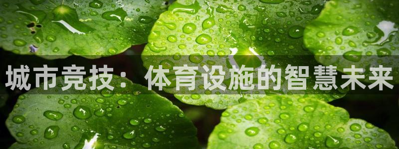 凯捷体育平台：城市竞技：体育设施的智慧未来