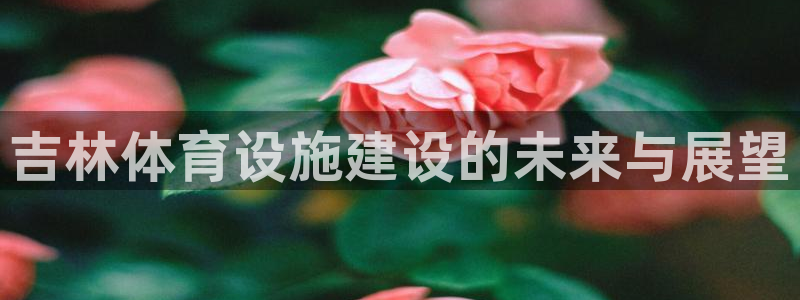 凯捷体育平台注册要钱吗：吉林体育设施建设的未来与展望