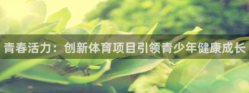 凯捷体育平台注册流程图：青春活力：创新体育项目引领青