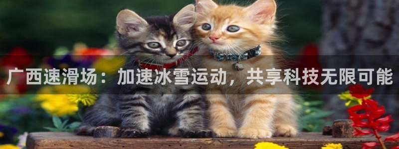 凯捷体育神州：广西速滑场：加速冰雪运动，共享科技无限可能