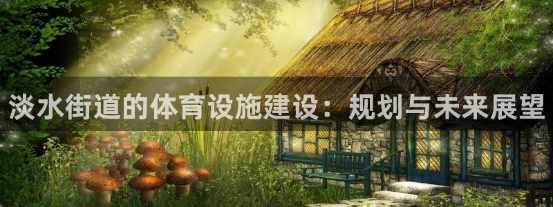 凯捷体育平台注册：淡水街道的体育设施建设：规划与未来