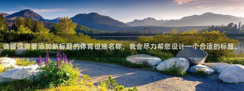 凯捷体育娱乐40996：请提供需要添加新标题的体育设