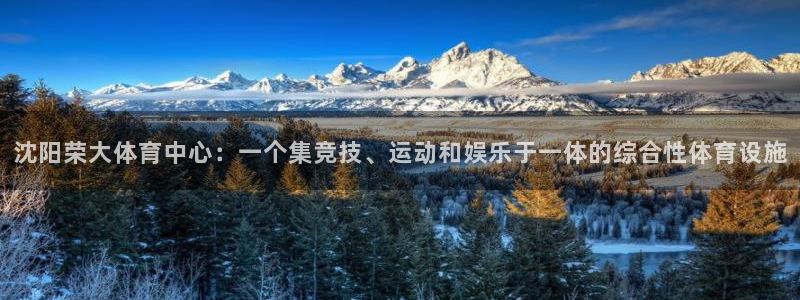 凯捷体育招商电话是多少：沈阳荣大体育中心：一个集竞技、运动和
