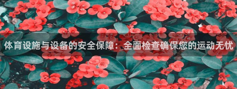 凯捷体育招商电话是多少号码：体育设施与设备的安全保障