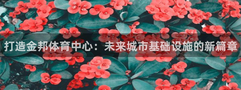 凯捷体育是干嘛的公司：打造金邦体育中心：未来城市基础