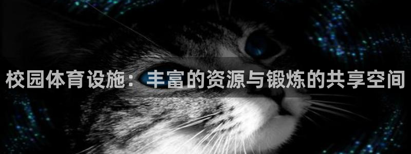 凯捷体育招商电话：校园体育设施：丰富的资源与锻炼的共