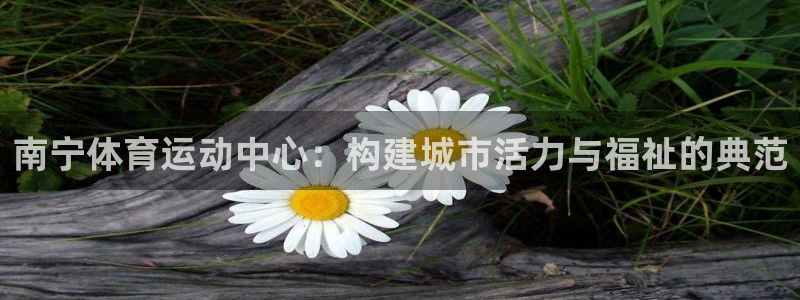 凯捷体育软件：南宁体育运动中心：构建城市活力与福祉的典范