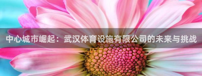 凯捷体育集团E.ON：中心城市崛起：武汉体育设施有限公司的未