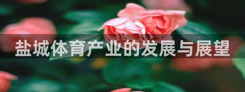 凯捷体育招商电话号码是多少：盐城体育产业的发展与展望