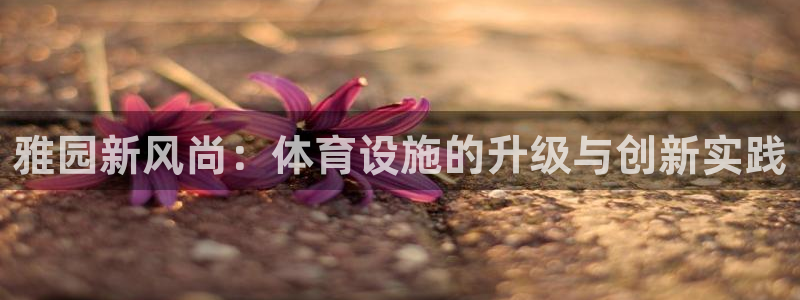 凯捷体育招商电话地址是多少：雅园新风尚：体育设施的升